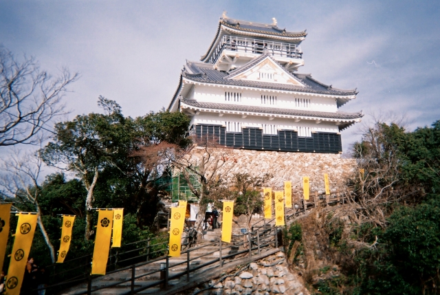 写ルンです作例2