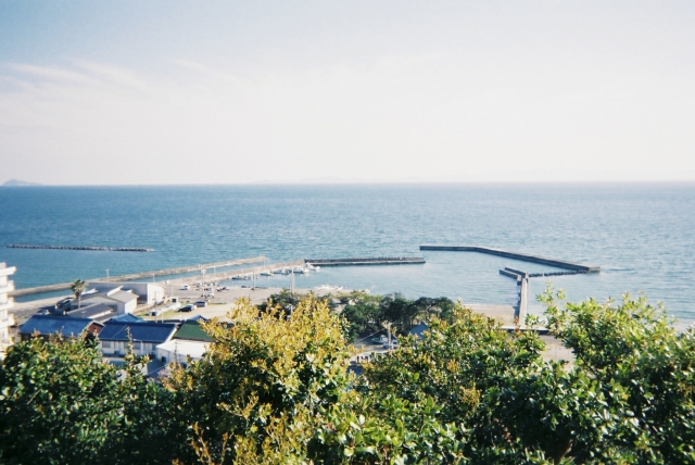 写ルンです作例1