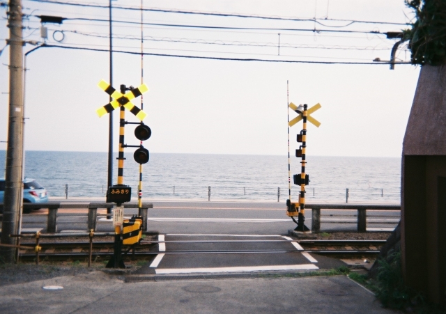 写ルンです作例3